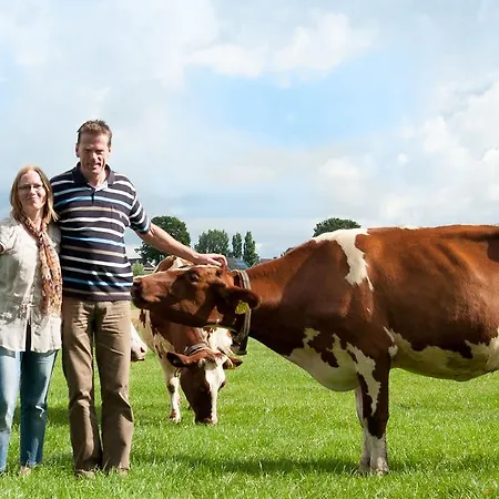 Sint Nicolaashoeve Lägenhet Nieuwveen