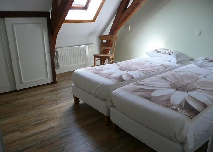 Sint Nicolaashoeve Апартаменты *