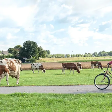 Apartment Sint Nicolaashoeve *