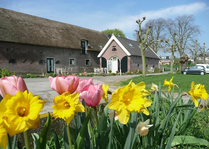 Daire Sint Nicolaashoeve Nieuwveen