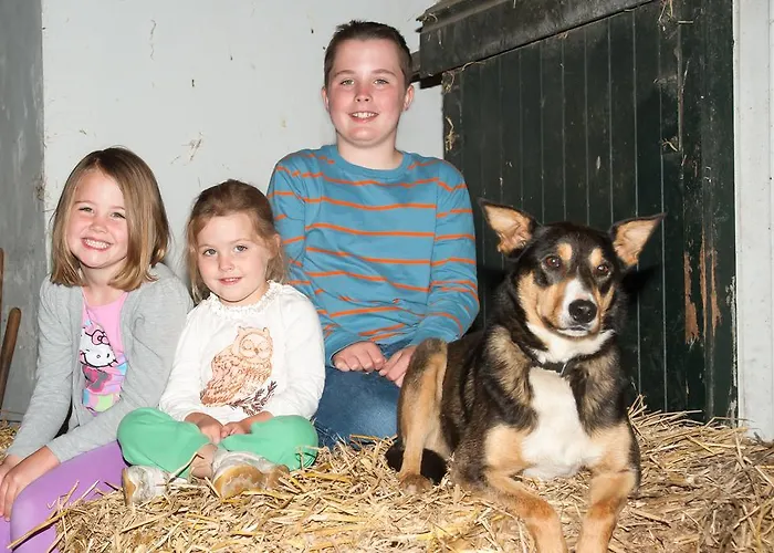 Daire Sint Nicolaashoeve *