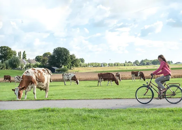 Daire Sint Nicolaashoeve *